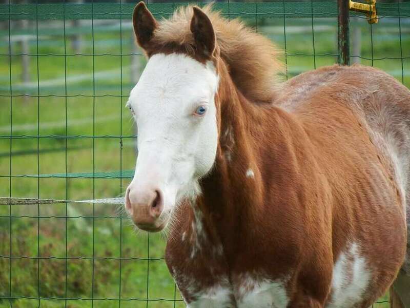 268488080_1351564301950460_7557150159559613498_n