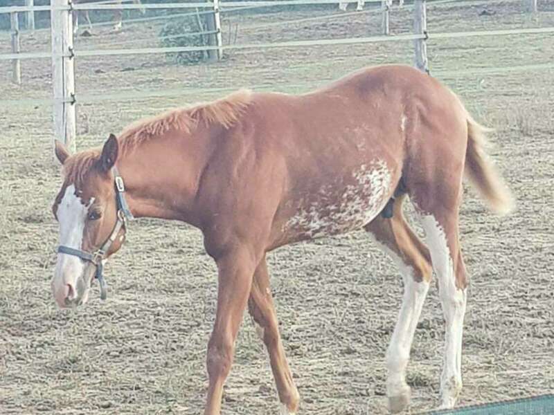 268846078_974003643469107_5815955793266203175_n