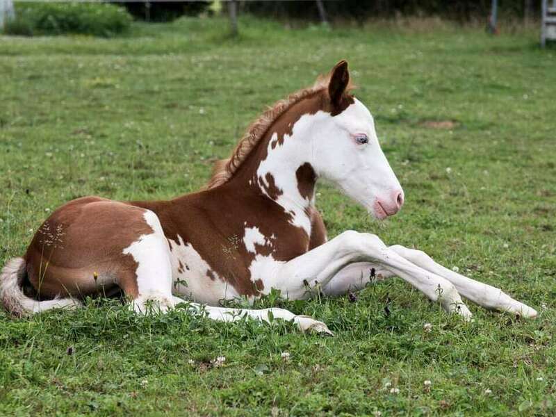 268940624_652557635769810_8955029458752187145_n