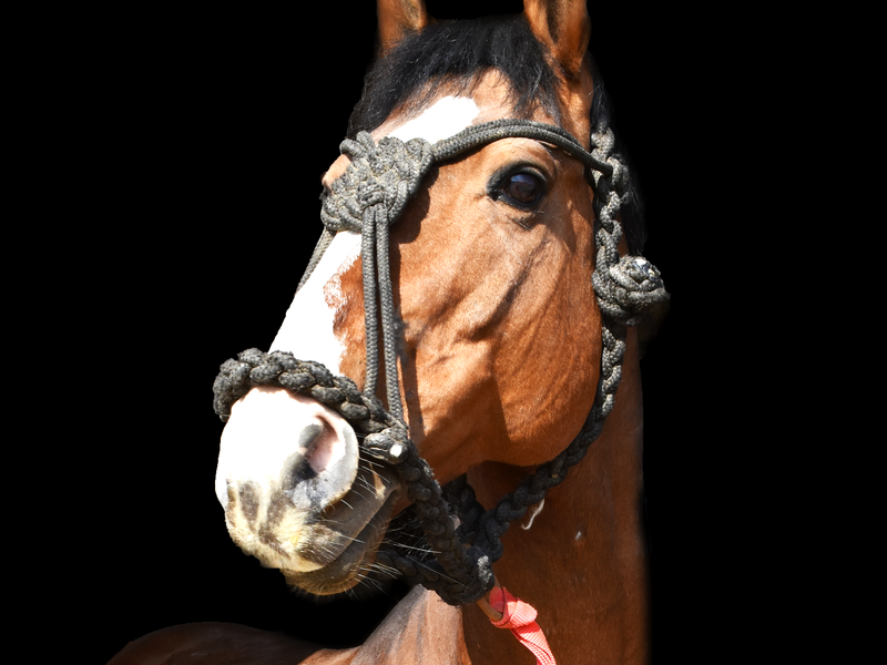 irresponsable_portrait_fond_noir