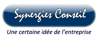 Logo Synergies Conseil