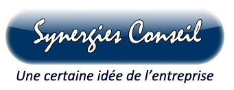 Logo Synergies Conseil Logo Synergies Conseil