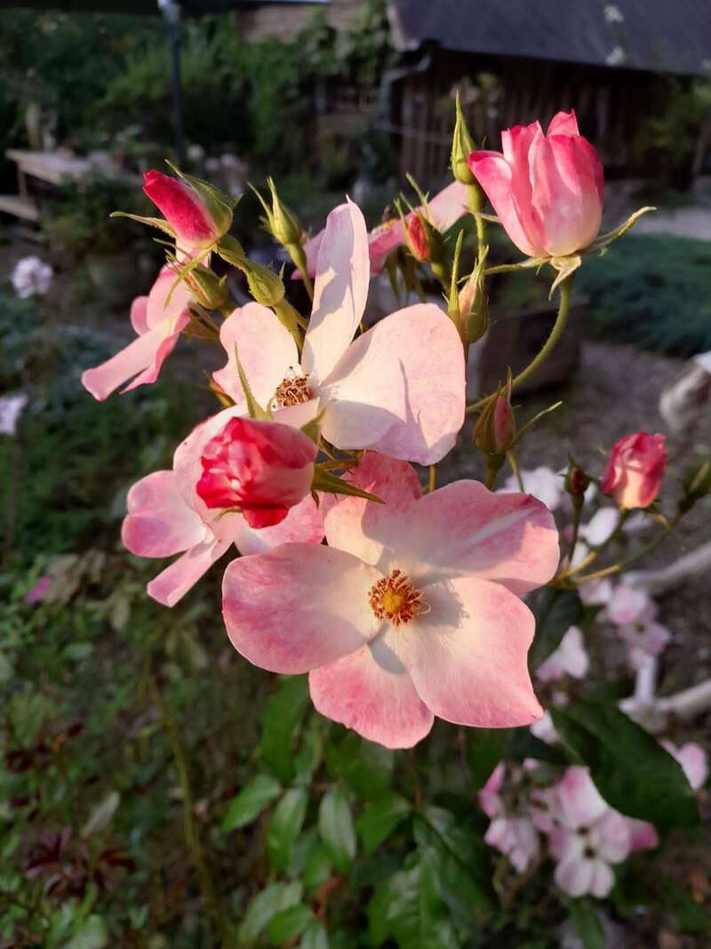 095fbb04-60e9-47f3-ba15-3ab67ea522a8