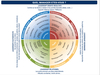roue de management avec couleurs et comportements