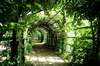 Pergola en fer forgé sur mesure en Ile de France