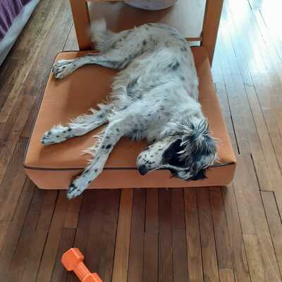 Avis Patrick NADLER D.C. - Sandrine M., Prof des écoles