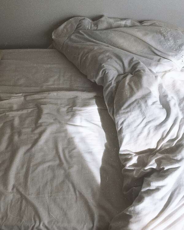 Exterminer les punaises de lit par congélation : conseils efficaces