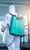 cafards, traitement professionnel, hygiène, santé, famille