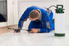 experts analysant des parquets pour identifier des foyers d'infestation