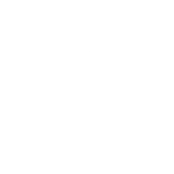 Logo Stelia Courtage