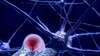 neurone