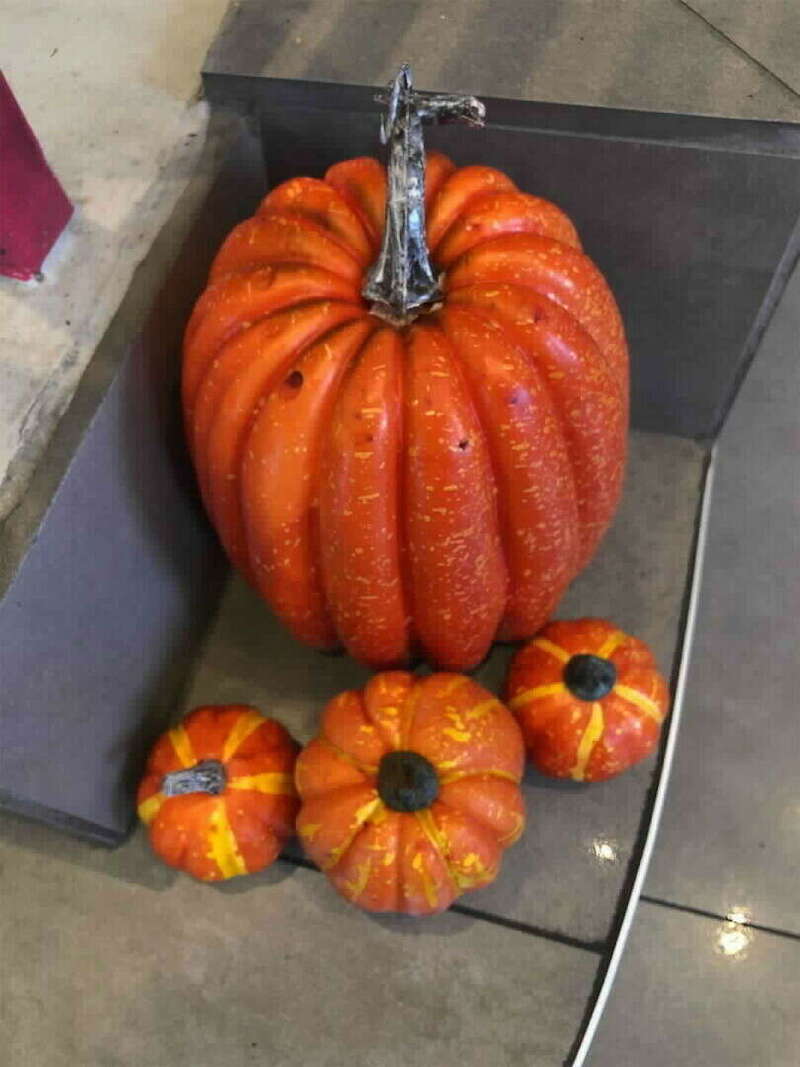 liiqrpcvxb_1635153245