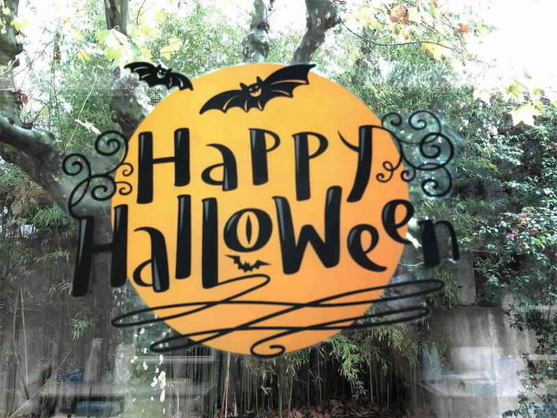 iuanmzcm7m_1635153245