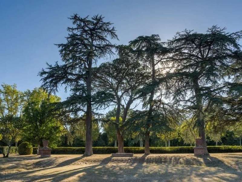 domaine-rochemontes-24-1024x683