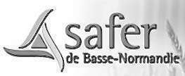 Safer