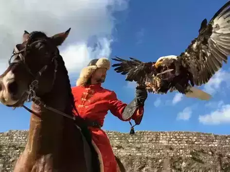 les-aigles-des-remparts-provins-vol-libre-1