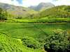 VOYAGES INITIATIQUES EN INDE