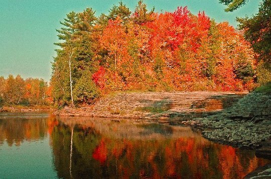 Atelier de l'automne