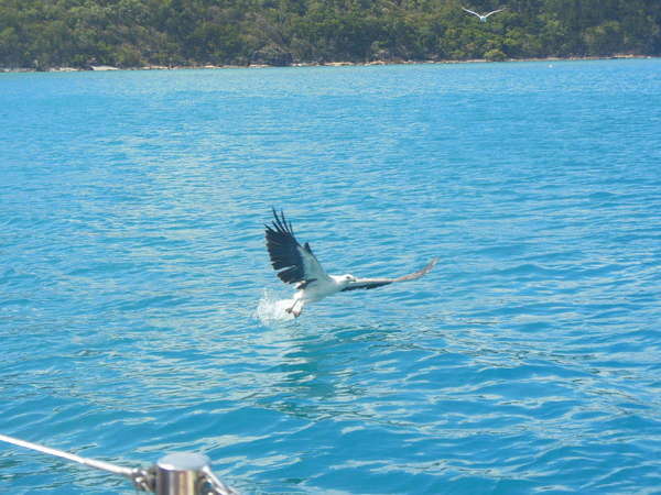 Lecture Annales Akashiques Du 29.03.2017