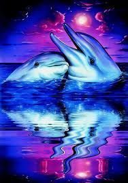 Dauphins : L'Inde déclare qu'ils sont des personnes