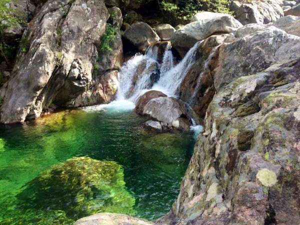 Pourquoi s'initier au Reiki