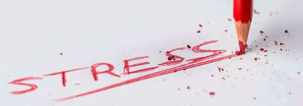 La kinésio, une pratique maître en gestion du stress