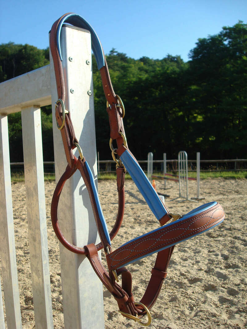 dsc0655820220829-796243-3ze4j7