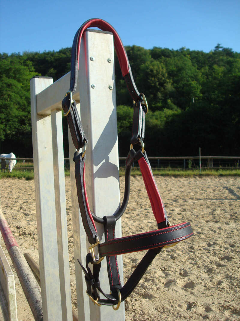 dsc0651420220829-796243-ruawzy