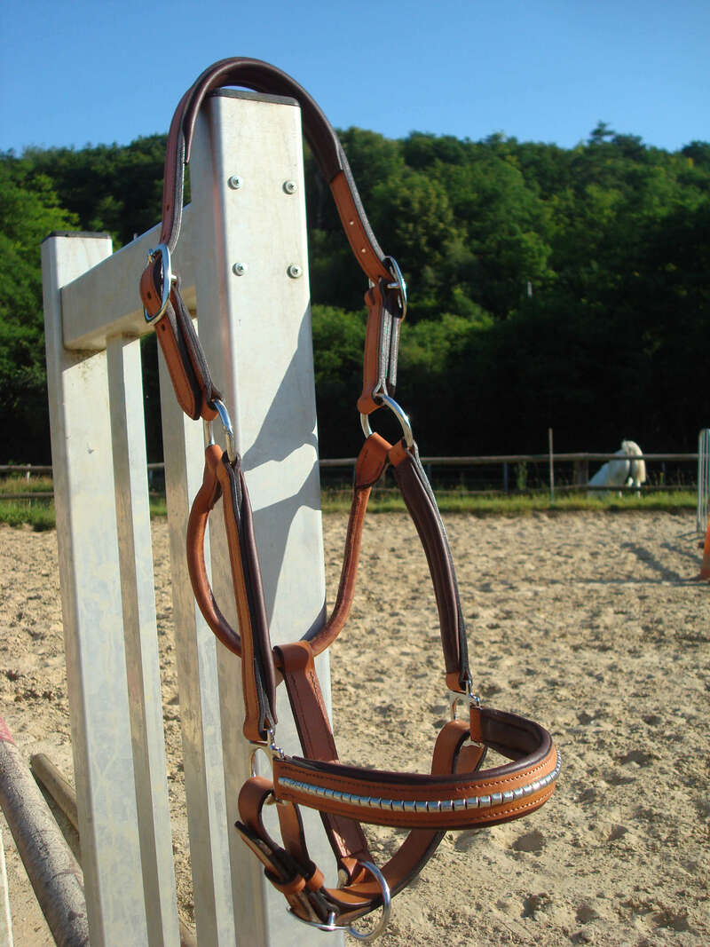 dsc0652920220829-796243-11v6rwf