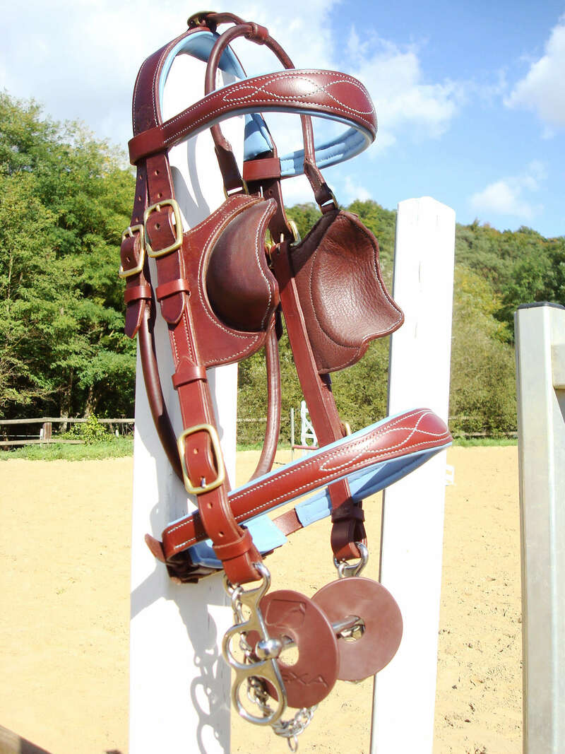 dsc0474420220829-796243-1siy6xy