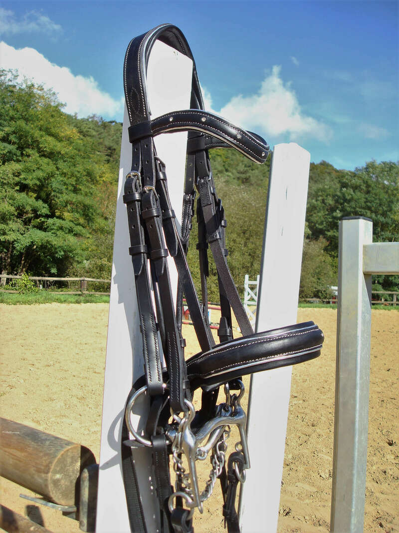 dsc0474120220829-796243-fd5rhp