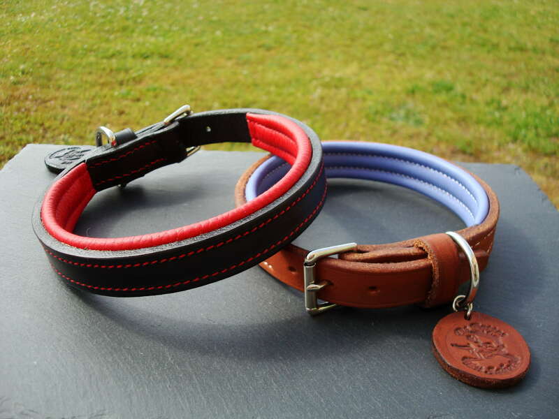 dsc0627620220829-2894591-1fx8sz4