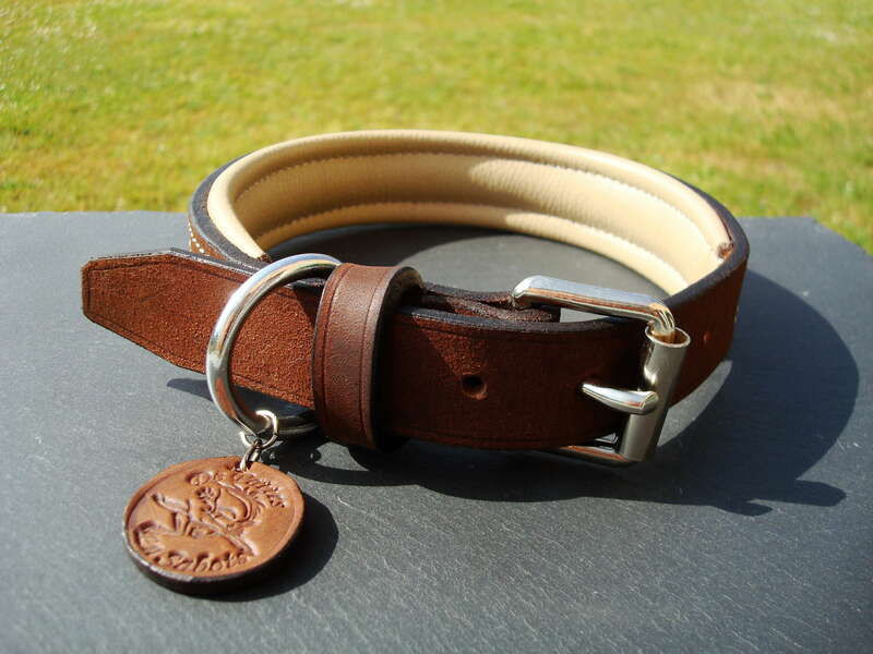 dsc0626920220829-2894591-mn6n88