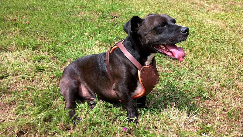 wp_20180719_13_52_03_pro20220829-2894591-9l50x5