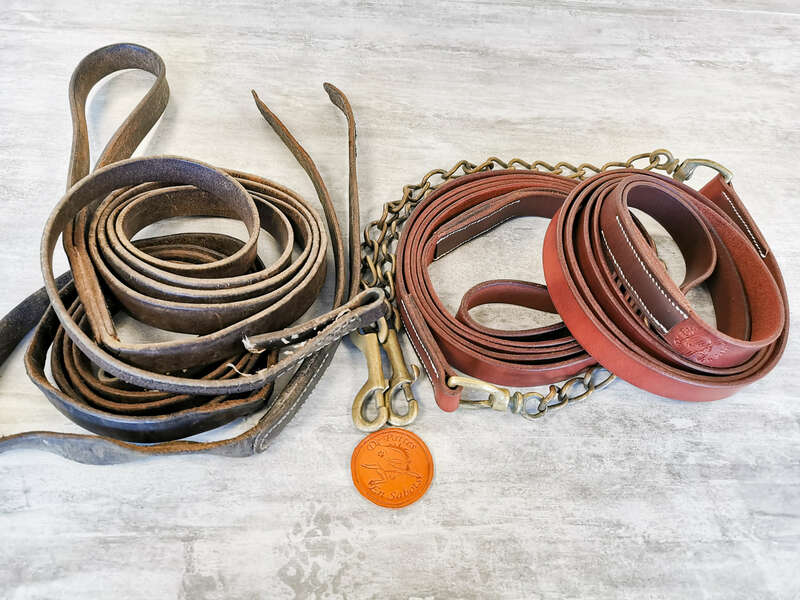 img_20211103_11535020220829-2894591-1xtbigj