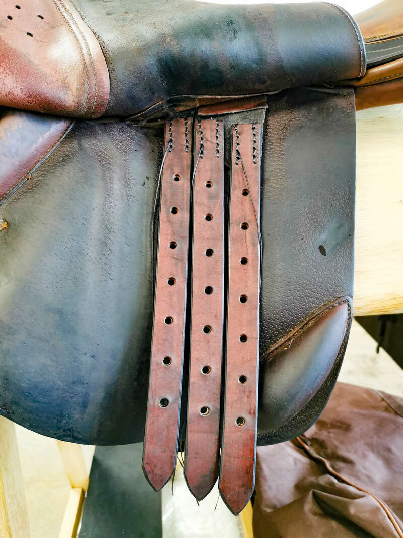 img_20210821_12013420220829-2894591-1drrcag