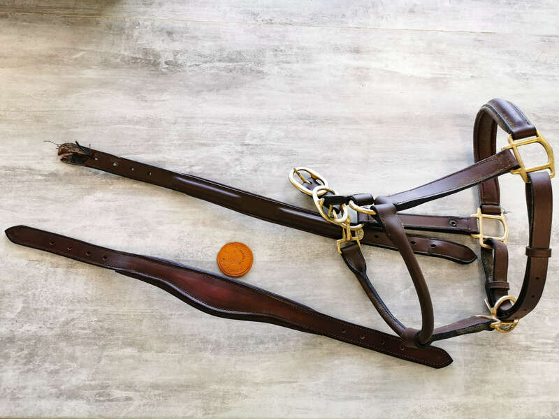 img_20210715_14080220220829-2894591-1mhzpm2