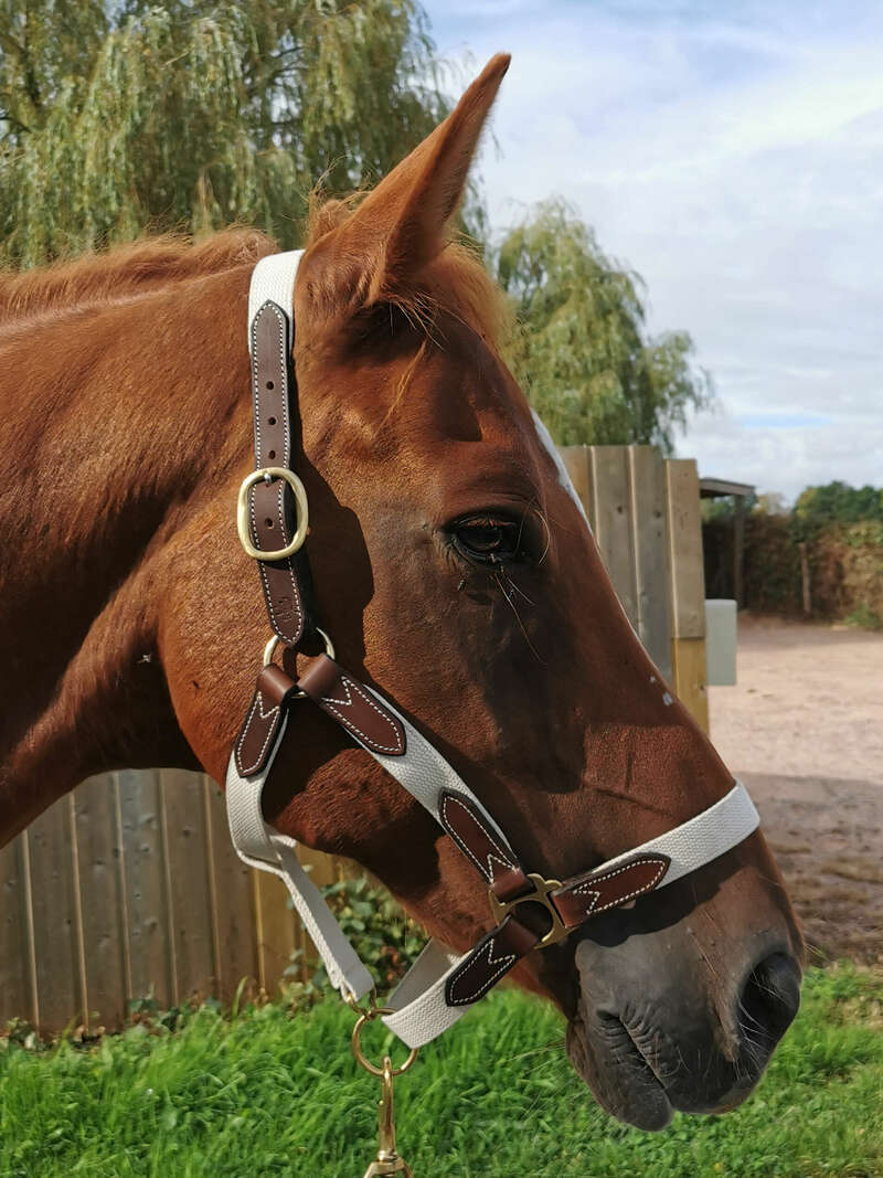 img_20210909_10584320220829-796243-11oqpsi