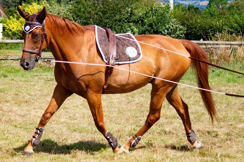 img_364320220829-796243-170k87y