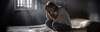 Comprendre et apaiser le vide affectif