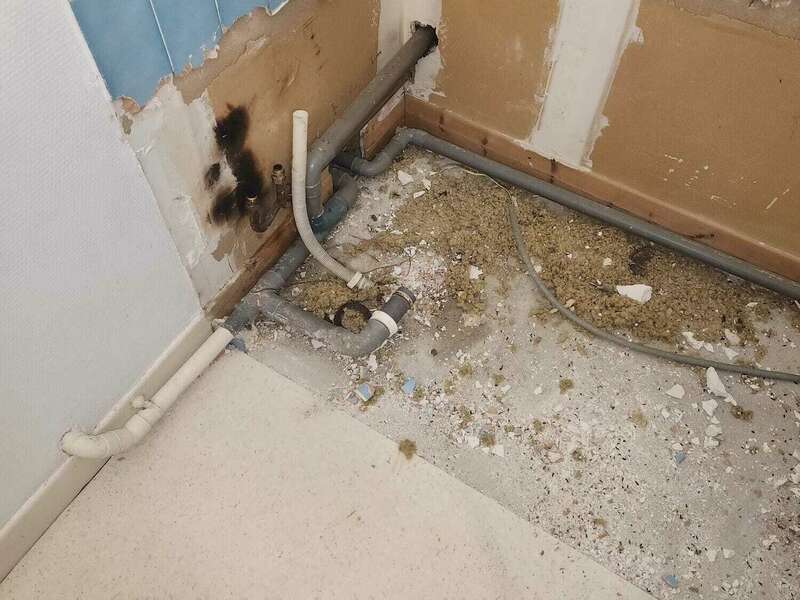 whatsapp_image_2024-12-07_a_12-33-37_f6d6515a