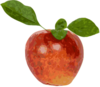 pomme