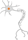 maladie psychosomatique