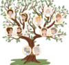 Arbre généalogique