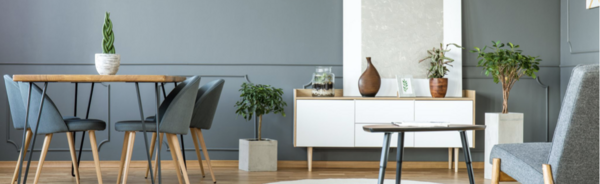 Comment choisir la couleur parfaite pour vos murs intérieurs ?