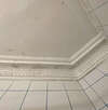 développement de la moisissure sur le plafond d'une salle de bain