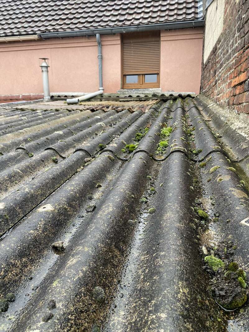 img_155520230329-2728616-dv7a4a