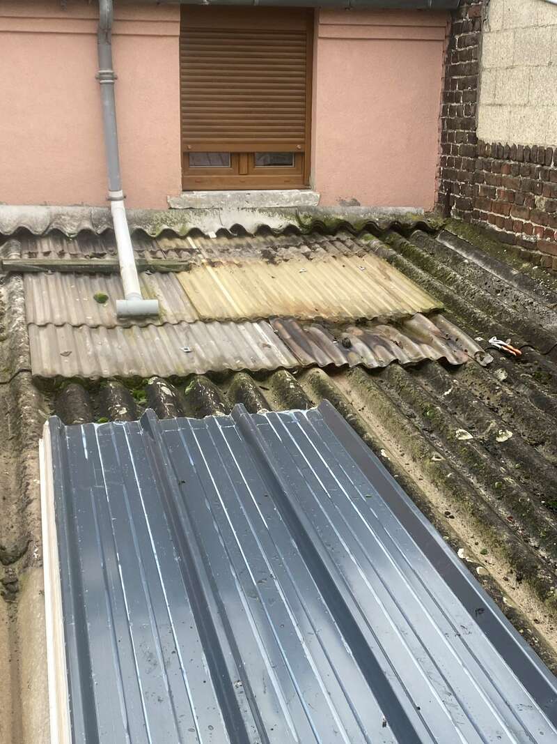 img_156420230329-2728616-139o5ow