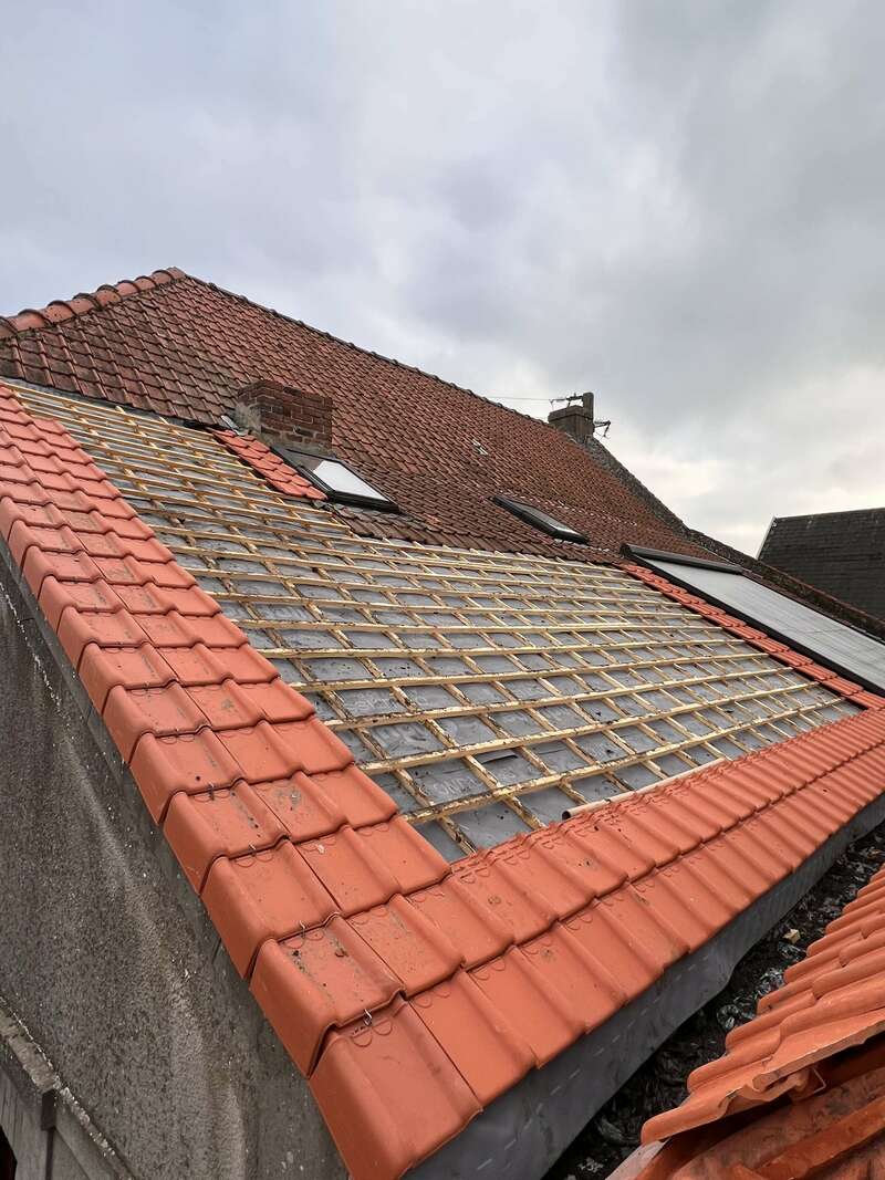 img_185820230329-2728616-cghrsq