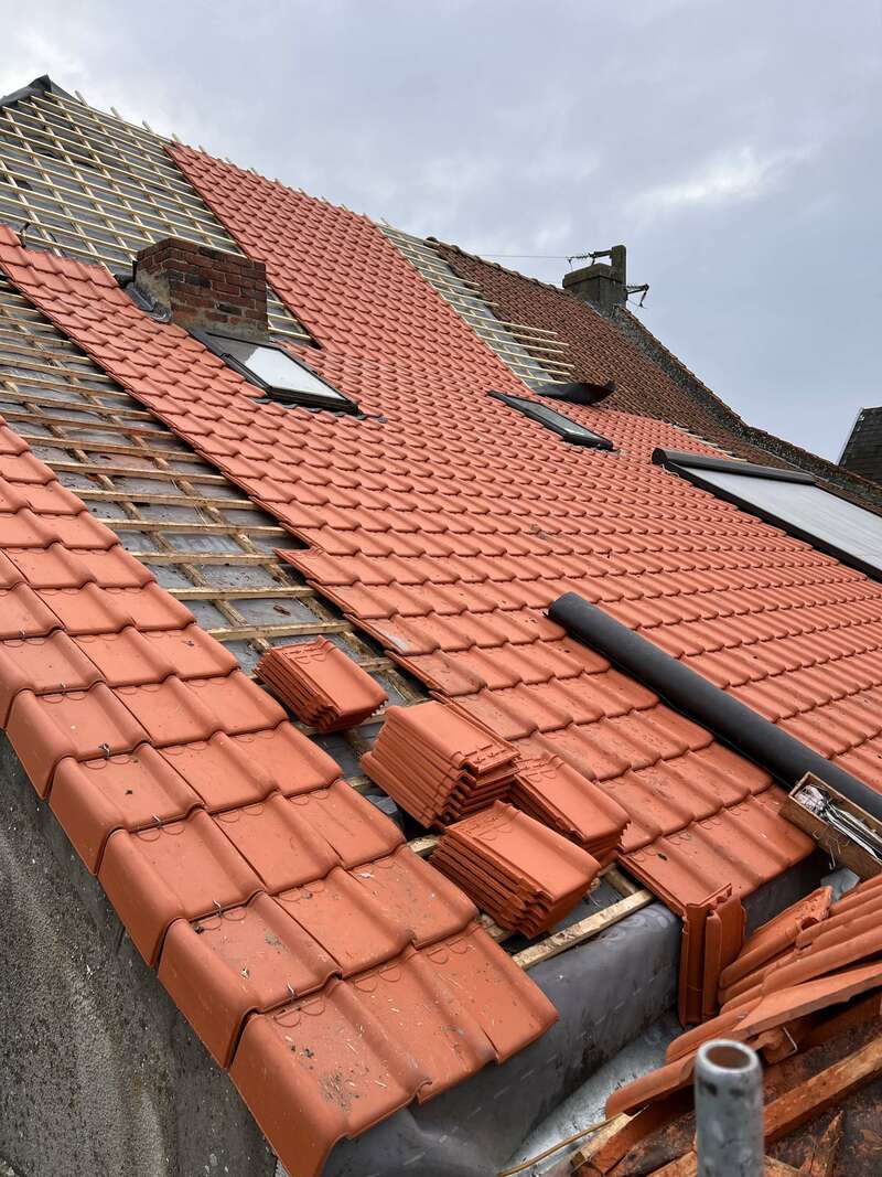 img_187820230329-2728616-l81ufx